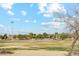 A view of the Community park featuring trees, a soccer field and surrounding houses at 4284 N 154Th Ave, Goodyear, AZ 85395