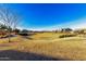 Community greenbelt with a grassy area and landscaping, perfect for outdoor recreation at 4330 S Neutron --, Mesa, AZ 85212