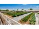 Community farm with organized rows of crops, under sunny skies, promoting local food and sustainable living at 4330 S Neutron --, Mesa, AZ 85212