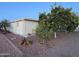 Yard featuring multiple fruit trees and desert landscaping at 437 E Germann Rd # 152, San Tan Valley, AZ 85140