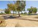 View from backyard overlooking desert landscaping and a pristine green golf course at 4843 E Ajo Cir, Phoenix, AZ 85044