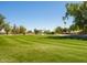 Beautiful view of the meticulously maintained green golf course with mature trees and a serene pond at 4843 E Ajo Cir, Phoenix, AZ 85044