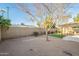 Expansive backyard showcasing desert landscaping, mature trees, and a covered patio at 4932 W Golden Ln, Glendale, AZ 85302