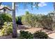 Scenic outdoor space with lush landscaping, pathway, and beautiful trees at 5223 N 24Th St # 108, Phoenix, AZ 85016