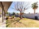 Spacious backyard with a trampoline, playset, grill, and a mature shade tree at 5223 W Lewis Ave, Phoenix, AZ 85035