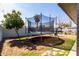 Spacious backyard with trampoline, brick fence, and partial view of trees at 5223 W Lewis Ave, Phoenix, AZ 85035