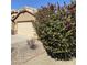 Exterior view of a home featuring desert landscaping and a large bougainvillea at 8648 W Fargo Dr, Peoria, AZ 85382