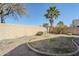 Enclosed backyard features a palm tree, rock groundcover, and block wall at 1186 E Bradstock Way, San Tan Valley, AZ 85140