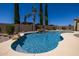 Sparkling pool with elegant rock features and mature trees, creating a peaceful and refreshing outdoor environment at 21842 E Via De Olivos --, Queen Creek, AZ 85142