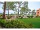 Beautifully landscaped community with mature trees, grassy lawns, and views of the pool at 12212 N Paradise Village S Pkwy # 146, Phoenix, AZ 85032