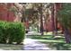 Landscaped community grounds with mature trees and green spaces provide a peaceful and inviting atmosphere at 12212 N Paradise Village S Pkwy # 146, Phoenix, AZ 85032