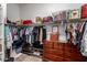 Spacious walk-in closet with ample storage and custom organization system at 15062 W Windward Ave, Goodyear, AZ 85395