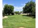 Spacious backyard featuring mature trees, lawn, and fenced perimeter at 22236 E Nacoma --, Queen Creek, AZ 85142
