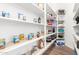 Walk-in pantry with adjustable shelves, providing ample storage space at 22236 E Nacoma --, Queen Creek, AZ 85142