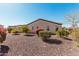 Expansive backyard with low-maintenance desert landscaping and mature trees for shade at 28798 N 127Th Ave, Peoria, AZ 85383