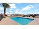 Community pool with clear blue water, palm trees, lounge chairs, and well-maintained landscaping at 3345 E University E Dr # 71, Mesa, AZ 85213