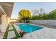 Backyard pool with travertine tile, potted flowers, and privacy landscaping at 445 W Gary Ave, Gilbert, AZ 85233