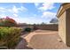 Backyard landscaping features mature desert plants, gravel, and a stone tile walkway, creating an inviting outdoor space at 8117 E Sweet Bush Ln, Gold Canyon, AZ 85118