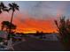 Neighborhood street with palm trees under a vivid orange sunset, highlighting the community charm at 1202 E Winged Foot Rd, Phoenix, AZ 85022