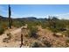 Desert Classic Trail through natural desert landscape with mountain views at 122 E Desert Wind Dr, Phoenix, AZ 85048