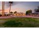 Beautiful backyard showing palm trees, desert landscaping, and a pool, perfect for evening relaxation at 12222 S Appaloosa Dr, Phoenix, AZ 85044