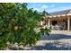 Lush backyard featuring drought landscaping and a covered patio for outdoor relaxation at 12323 W Fieldstone Dr, Sun City West, AZ 85375