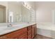 Bright bathroom with double sinks, soaking tub, and walk-in shower at 1715 N Sawyer --, Mesa, AZ 85207