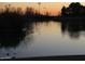 Tranquil pond scene featuring ducks swimming in the calm water at 1715 N Sawyer --, Mesa, AZ 85207