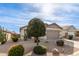 Landscaped front yard with desert flora complements this home's neutral exterior and spacious driveway at 227 W Lantern Way, San Tan Valley, AZ 85143