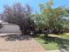 Lovely home with mature trees, lush landscaping, privacy, and a well-manicured lawn at 2923 E Wahalla Ln, Phoenix, AZ 85050