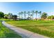 Scenic view of the community park, featuring a walking path, open green space, and palm trees on a clear day at 3238 E Ashurst Dr, Phoenix, AZ 85048