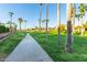 A tree-lined walkway offers a scenic route for walking and recreation at 3238 E Ashurst Dr, Phoenix, AZ 85048