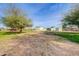 Spacious yard with mature trees and a view of the inviting home in a serene outdoor setting at 3929 E Flintlock Dr, Queen Creek, AZ 85142