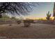 The desert-landscaped backyard is enclosed by a block wall and a chainlink fence, offering privacy at 4625 E Thorn Tree Dr, Cave Creek, AZ 85331