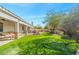 Large backyard with covered patio, outdoor kitchen, and lush green lawn at 891 W Palo Brea Dr, Litchfield Park, AZ 85340