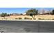 Street view showcases landscaped median with mature trees and bushes, adjacent to a paved road and neighborhood homes at 10449 E Lomita Ave, Mesa, AZ 85209