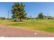 Scenic golf course with mature trees, lush fairways and residential buildings in the background at 10846 W Crosby Dr, Sun City, AZ 85351