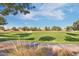 Community park features a large grassy field with mature trees, perfect for recreation at 1101 W Oleander Ave, Queen Creek, AZ 85140