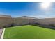 The private backyard features well-maintained artificial grass perfect for outdoor activities at 11679 W Parkway Ln, Avondale, AZ 85323