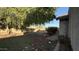 A serene backyard featuring synthetic grass, trees for shade, with a block wall for privacy at 14440 N 56Th Pl, Scottsdale, AZ 85254