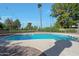 Desert backyard featuring a refreshing swimming pool and mature trees, perfect for outdoor living and relaxation at 1509 W Kiowa Ave, Mesa, AZ 85202