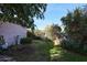 Spacious backyard features mature trees, landscaping, and an outdoor statue at 19013 N 18Th Ave, Phoenix, AZ 85027