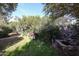 Landscaped backyard with mature trees, lush greenery, outdoor decor, and a stone pathway at 19013 N 18Th Ave, Phoenix, AZ 85027