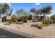 Desert landscape with various cacti and plants, complemented by decorative rock and gravel at 25621 N Cordova Ln, Rio Verde, AZ 85263