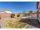 Well maintained backyard offers mature landscaping, custom pool, and privacy at 3034 E Coconino Dr, Gilbert, AZ 85298