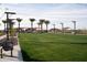 Lush community park with a large grassy area, walking paths, seating, and string lights at 4583 E French Rd, San Tan Valley, AZ 85143