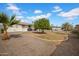 Wide view of expansive backyard with gravel landscaping and mature citrus tree at 6329 E Dodge St, Mesa, AZ 85205