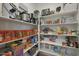 Well-stocked pantry showcasing organized shelving filled with food items and various kitchen appliances at 16832 E Hazeltine Way, Queen Creek, AZ 85142