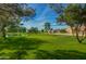 Lush golf course with green grass, mature trees, a tranquil pond and blue sky background at 17132 N Silver Path, Surprise, AZ 85374