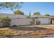 Exterior front shot of single story home with brick wall and mature landscaping at 18614 N Conestoga Dr, Sun City, AZ 85373